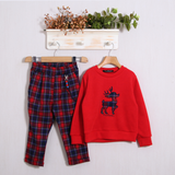 Completo Elegante "Pierre Cardin"