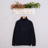 Pullover mit hohem Kragen