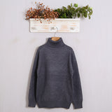 Pullover mit hohem Kragen