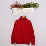 Pullover mit hohem Kragen