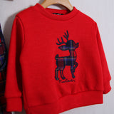 Completo Elegante "Pierre Cardin"