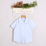 Camicia Lino Basic